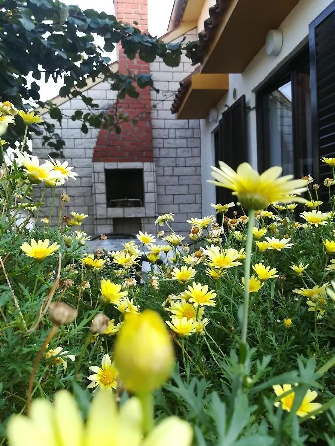 Apartments Eliva 우마그